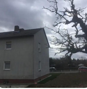 Apartment 1 EG 3 ZKB Terasse